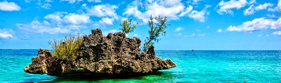 Paradiesischer Strand von Mauritius mit Palmen und Berg Le Morne im Hintergrund