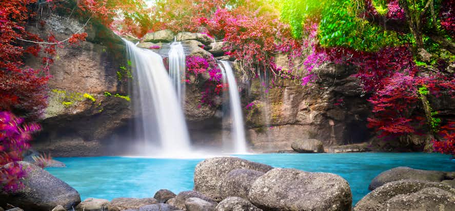 Luxuriöse Thailand Erlebnisse buchen – tropischer Strand mit Palmen und türkisblauem Meer, exklusive Ausflüge und Aktivitäten in Thailand bei GetYourGuide entdecken