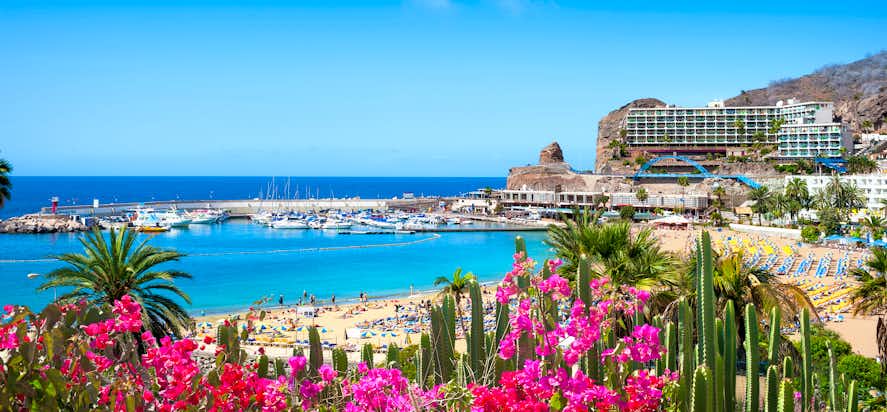 Puerto Rico Strand, Gran Canaria – feiner Sandstrand an der Atlantikküste (Kanaren, Spanien); Aktivitäten & Touren auf GetYourGuide
